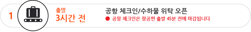 공항 체크인 및 수하물 위탁은 출발 3시간 전에 개시되어 출발 45분 전에 마감됩니다.