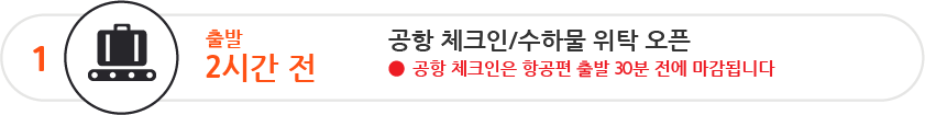 공항 체크인 및 수하물 위탁은 출발 2시간 전에 개시되어 출발 30분 전에 마감됩니다.