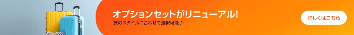 オプションセットがリニューアル