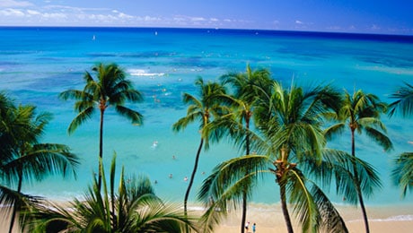 Return for FREE^ - Hawaii Holiday Packages