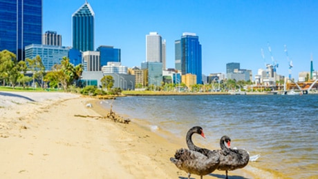 How to spend a day in Perth